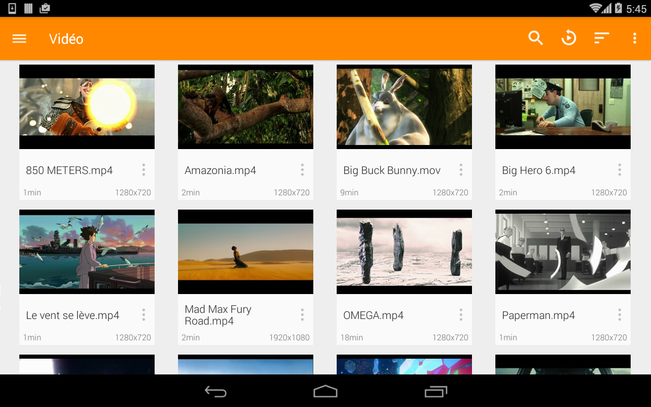    VLC for Android- screenshot  
