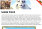 /video2/video_thumb.png