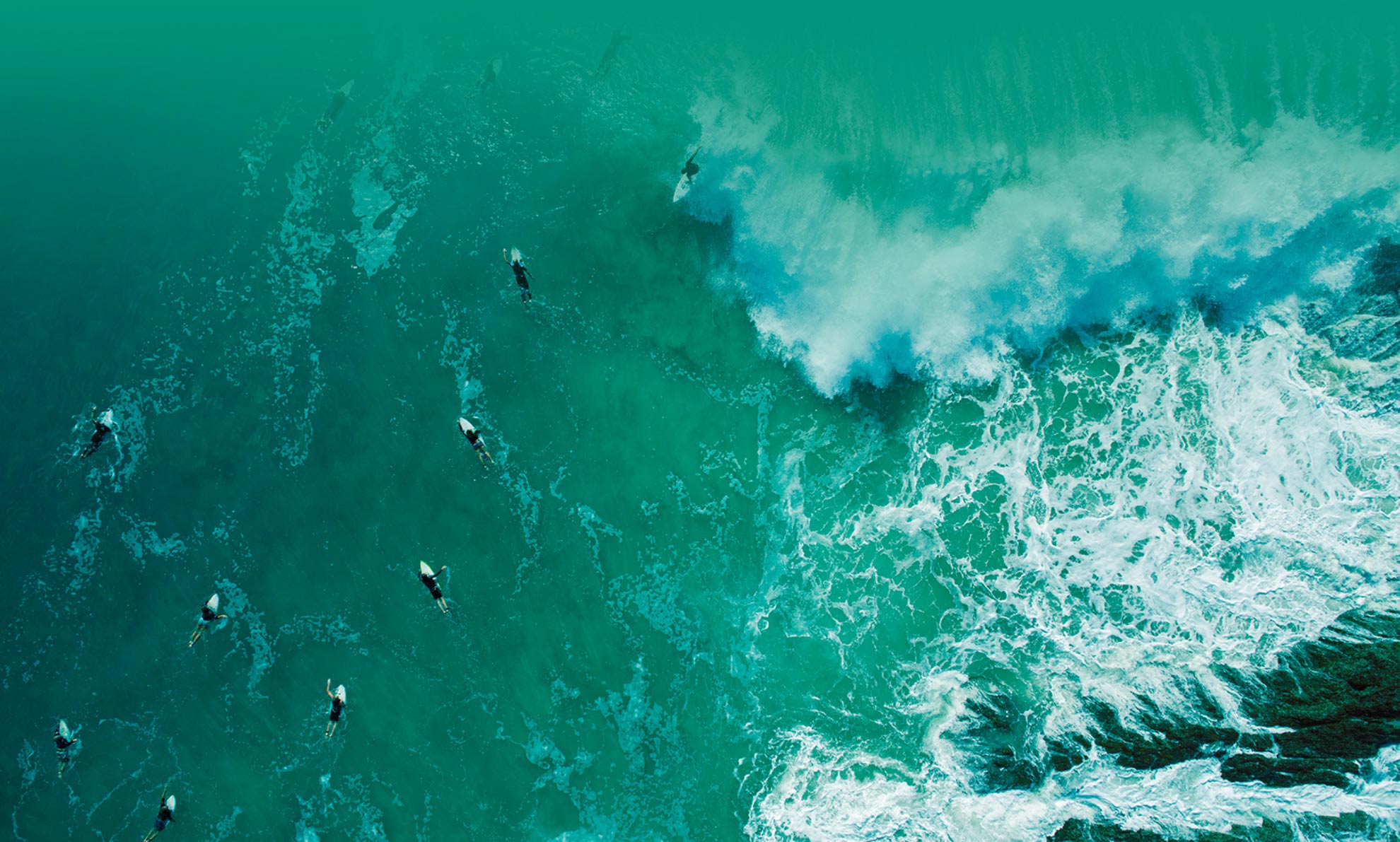 Networks surfers with gradient