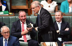 Coal getting passed arounf the Australian parliament