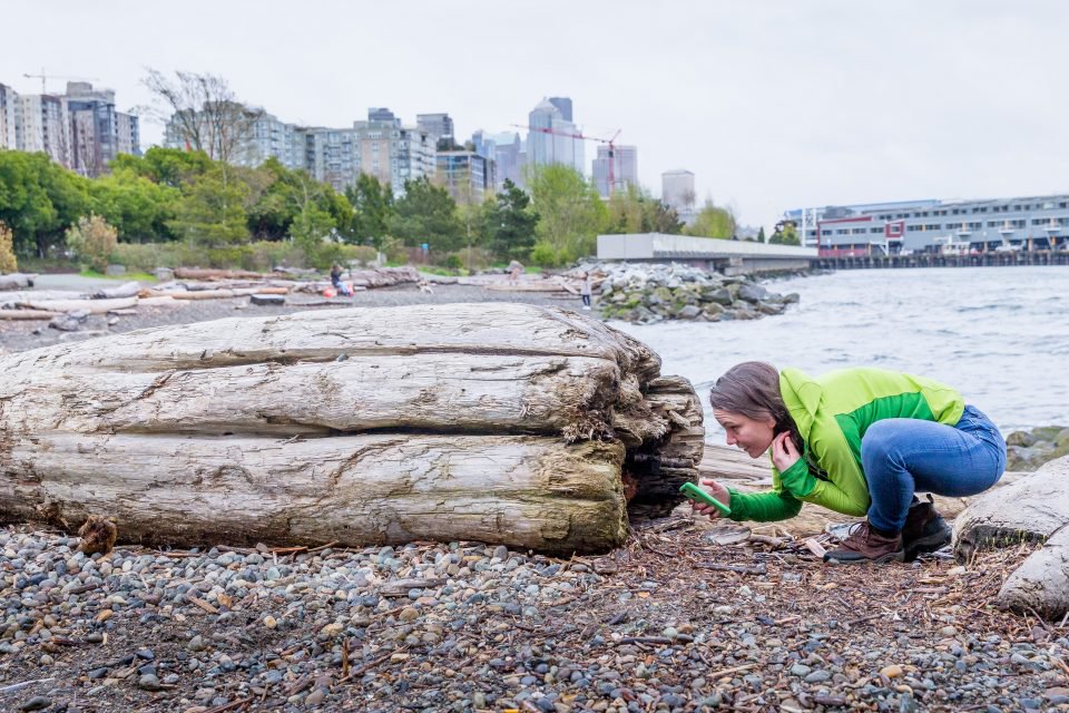 Like taking a whole scientific team with you on a walk: iNaturalist helps spawn a generation of citizen scientists