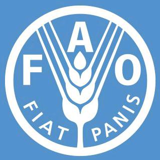 UN's Food & Ag Org TikTok